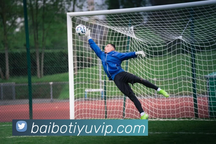 App Interface Preview